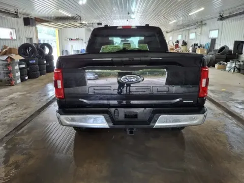 More photos of 2023 Ford F-150 XLT at Monster Motors - Jackson, MI, MI