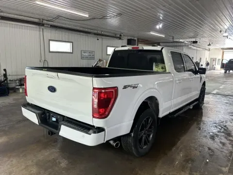More photos of 2022 Ford F-150 XLT at Monster Motors - Jackson, MI, MI
