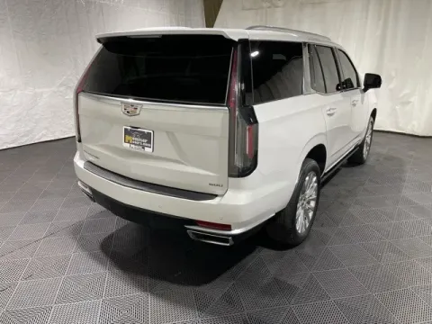 More photos of 2022 Cadillac Escalade Premium Luxury at Monster Motors - Jackson, MI, MI