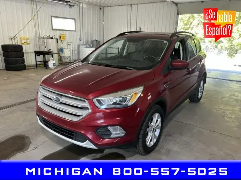 Red 2019 Ford Escape SEL for sale in Michigan Center, MI