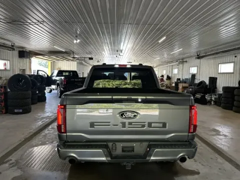 More photos of 2024 Ford F-150 Lariat at Monster Motors - Jackson, MI, MI