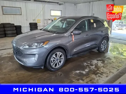 Gray 2022 Ford Escape SEL for sale in Michigan Center, MI