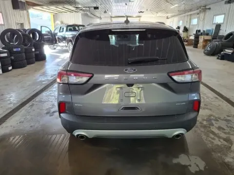 More photos of 2022 Ford Escape SEL at Monster Motors - Jackson, MI, MI