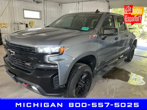 Gray 2020 Chevrolet Silverado 1500 LT Trail Boss for sale in Michigan Center, MI