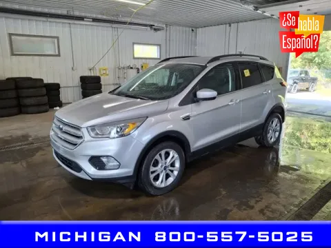 Silver 2019 Ford Escape SEL for sale in Michigan Center, MI