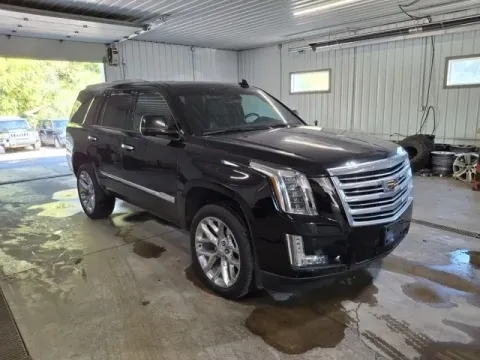 Another view of 2016 Cadillac Escalade Platinum Edition for sale in Michigan Center, MI at Monster Motors - Jackson, MI