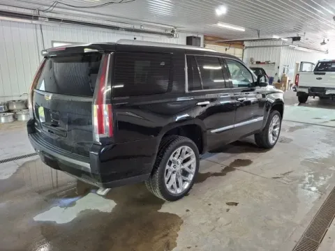 More photos of 2016 Cadillac Escalade Platinum Edition at Monster Motors - Jackson, MI, MI