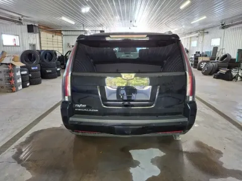 More photos of 2016 Cadillac Escalade Platinum Edition at Monster Motors - Jackson, MI, MI