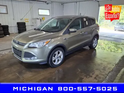 Gold 2013 Ford Escape SE for sale in Michigan Center, MI