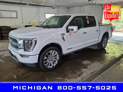 White 2021 Ford F-150 Limited for sale in Michigan Center, MI