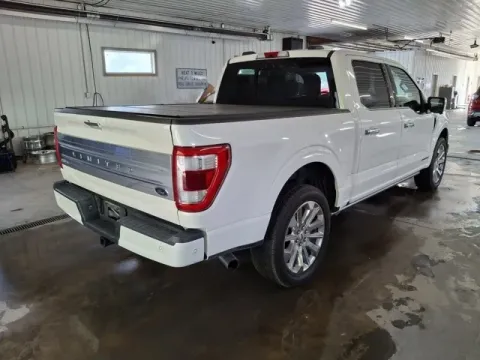 More photos of 2021 Ford F-150 Limited at Monster Motors - Jackson, MI, MI