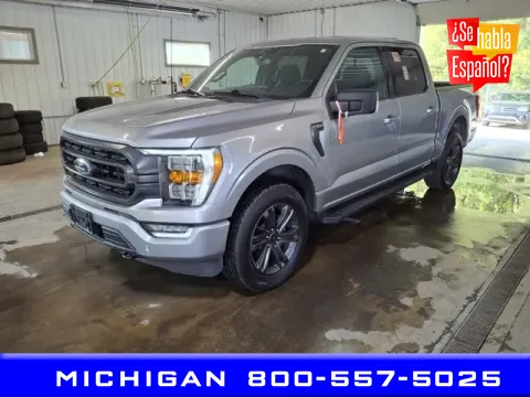 Gray 2023 Ford F-150 XLT for sale in Michigan Center, MI