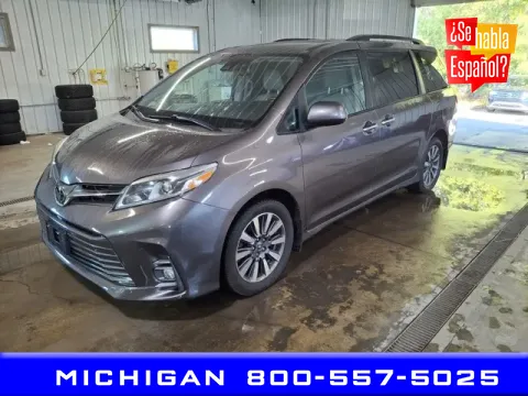 Gray 2020 Toyota Sienna for sale in Michigan Center, MI