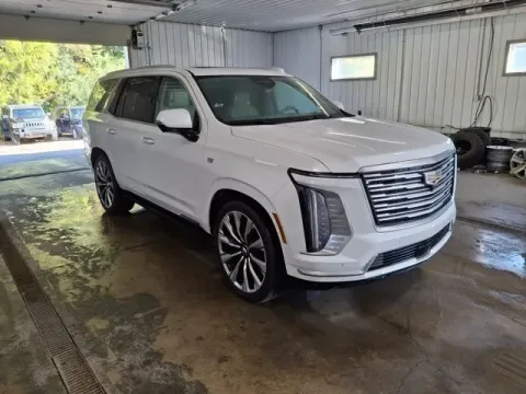 Another view of 2025 Cadillac Escalade Premium Luxury Platinum for sale in Michigan Center, MI at Monster Motors - Jackson, MI