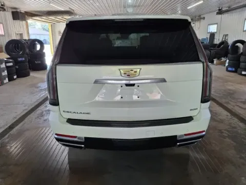 More photos of 2025 Cadillac Escalade Premium Luxury Platinum at Monster Motors - Jackson, MI, MI