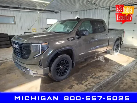 Brown 2024 GMC Sierra 1500 Elevation for sale in Michigan Center, MI