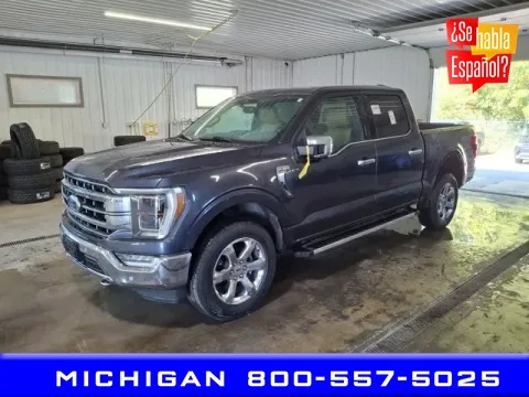 Gray 2022 Ford F-150 Lariat for sale in Michigan Center, MI