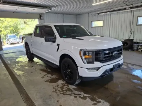 Another view of 2022 Ford F-150 XLT for sale in Michigan Center, MI at Monster Motors - Jackson, MI