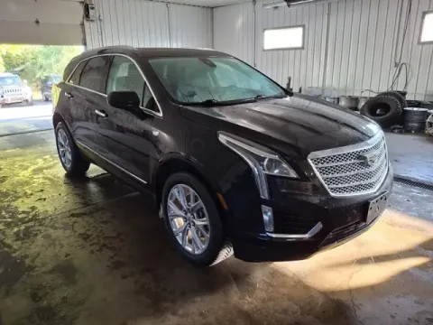 Another view of 2019 Cadillac XT5 Luxury for sale in Michigan Center, MI at Monster Motors - Jackson, MI