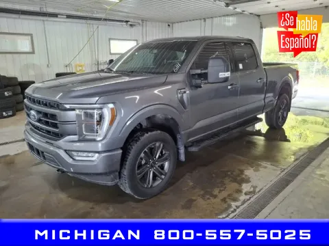 Gray 2021 Ford F-150 Lariat for sale in Michigan Center, MI