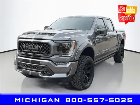 Gray 2023 Ford F-150 Lariat for sale in Michigan Center, MI