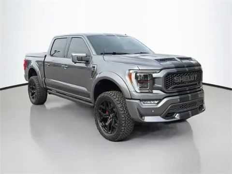Another view of 2023 Ford F-150 Lariat for sale in Michigan Center, MI at Monster Motors - Jackson, MI