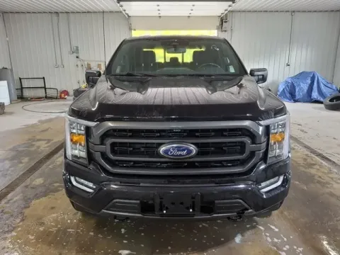 Photos of 2023 Ford F-150 XLT for sale in Michigan Center, MI at Monster Motors - Jackson, MI