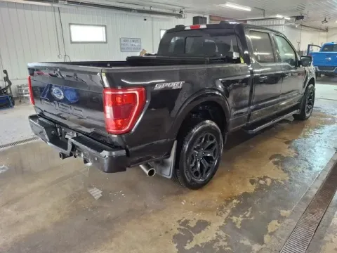 More photos of 2023 Ford F-150 XLT at Monster Motors - Jackson, MI, MI