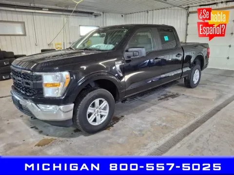 Black 2022 Ford F-150 for sale in Michigan Center, MI