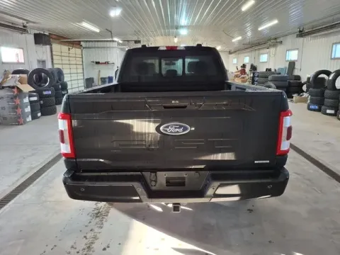 More photos of 2021 Ford F-150 Lariat at Monster Motors - Jackson, MI, MI