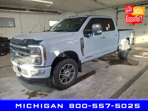 Gray 2024 Ford F-350SD Platinum for sale in Michigan Center, MI