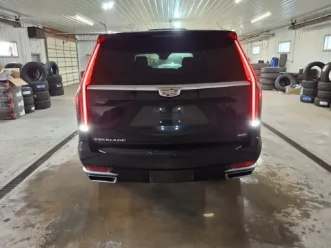 More photos of 2024 Cadillac Escalade ESV Premium at Monster Motors - Jackson, MI, MI