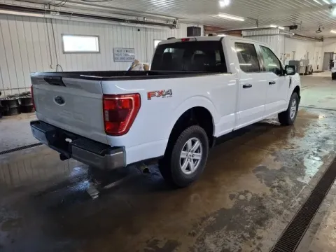 More photos of 2023 Ford F-150 XLT at Monster Motors - Jackson, MI, MI