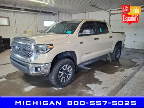 Beige 2020 Toyota Tundra for sale in Michigan Center, MI