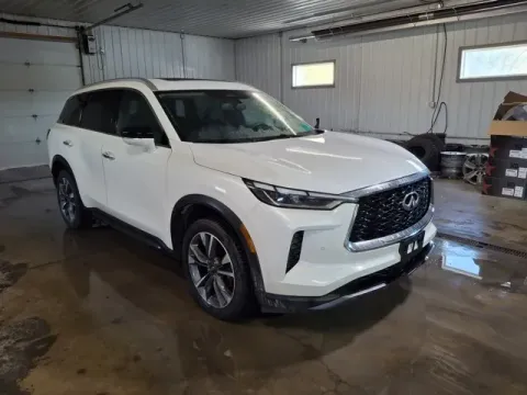 Another view of 2022 INFINITI QX60 LUXE for sale in Michigan Center, MI at Monster Motors - Jackson, MI