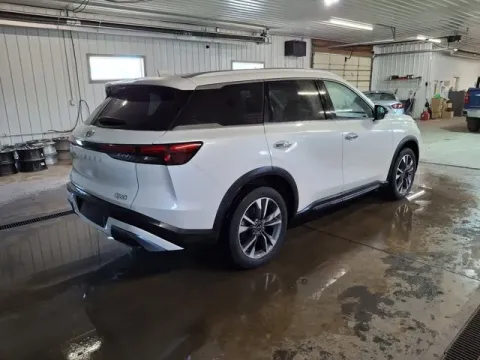 More photos of 2022 INFINITI QX60 LUXE at Monster Motors - Jackson, MI, MI