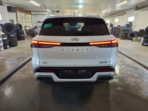 More photos of 2022 INFINITI QX60 LUXE at Monster Motors - Jackson, MI, MI