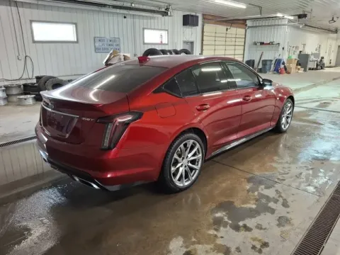 More photos of 2022 Cadillac CT5 Sport at Monster Motors - Jackson, MI, MI