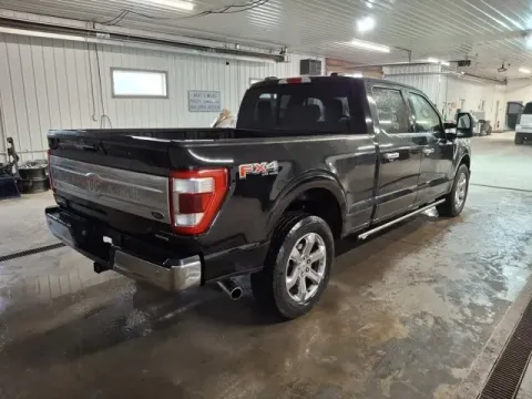 More photos of 2023 Ford F-150 King Ranch at Monster Motors - Jackson, MI, MI