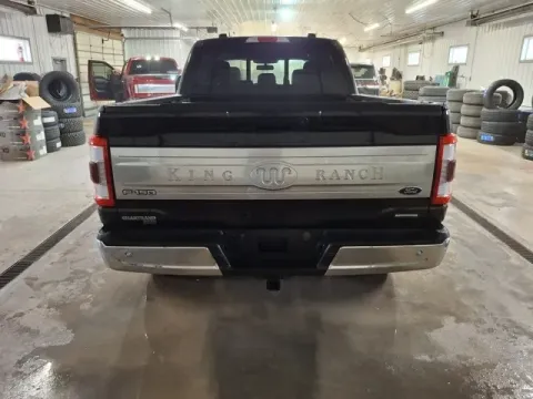 More photos of 2023 Ford F-150 King Ranch at Monster Motors - Jackson, MI, MI