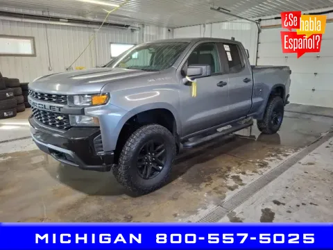 Gray 2020 Chevrolet Silverado 1500 WT for sale in Michigan Center, MI