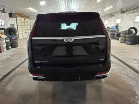 More photos of 2023 Cadillac Escalade ESV Premium at Monster Motors - Jackson, MI, MI