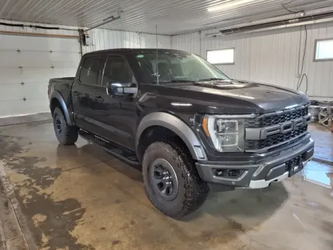 Another view of 2023 Ford F-150 Raptor for sale in Michigan Center, MI at Monster Motors - Jackson, MI