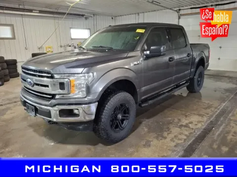 Gray 2018 Ford F-150 XLT for sale in Michigan Center, MI