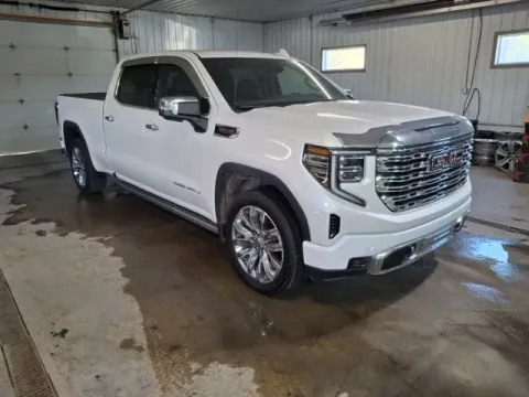 Another view of 2024 GMC Sierra 1500 Denali for sale in Michigan Center, MI at Monster Motors - Jackson, MI