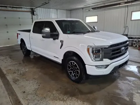 Another view of 2022 Ford F-150 Lariat for sale in Michigan Center, MI at Monster Motors - Jackson, MI