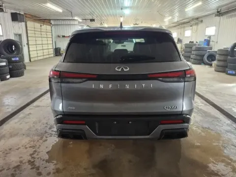 More photos of 2023 INFINITI QX60 LUXE at Monster Motors - Jackson, MI, MI