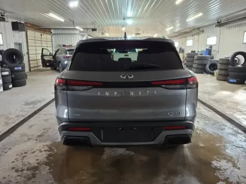 More photos of 2023 INFINITI QX60 LUXE at Monster Motors - Jackson, MI, MI