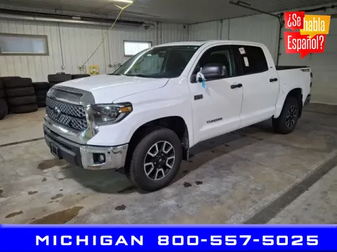 White 2020 Toyota Tundra SR5 for sale in Michigan Center, MI