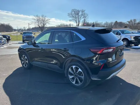 More photos of 2025 Ford Escape Platinum at Fahey Imports, OH